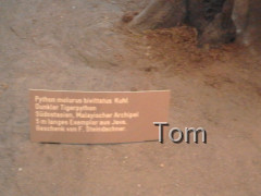 Naturhistorisches Museum