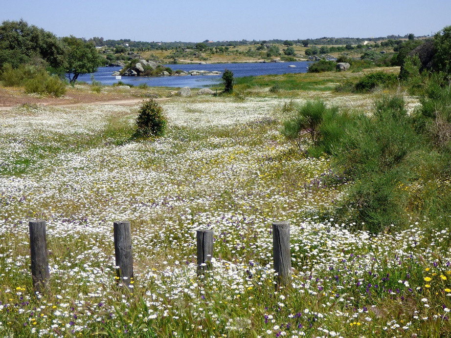 Naturpark Los Barruecos