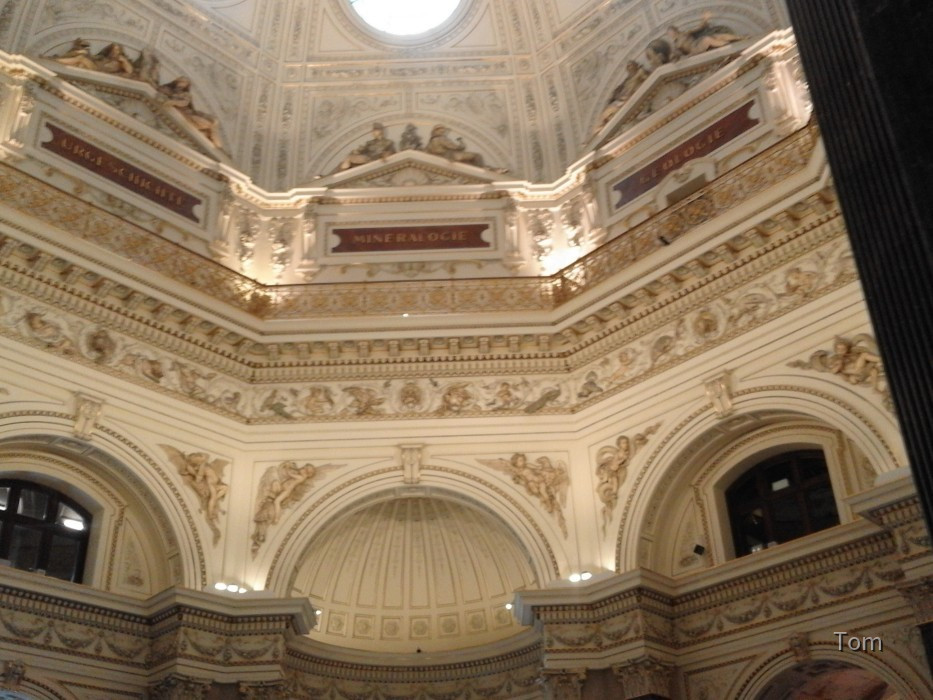 Naturhistorisches Museum