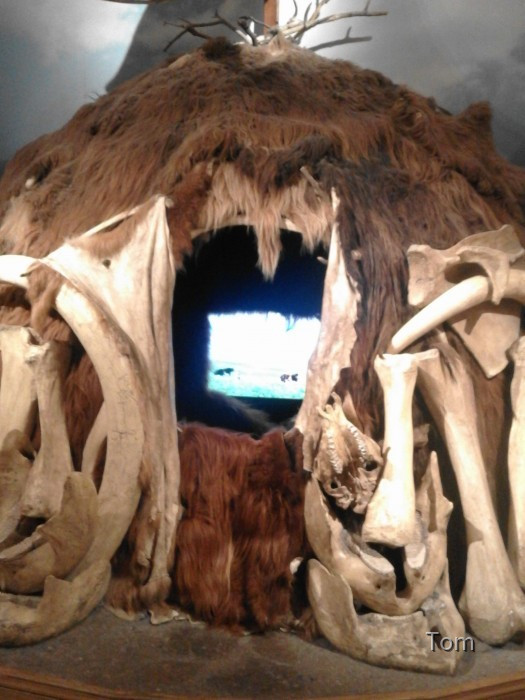 Naturhistorisches Museum