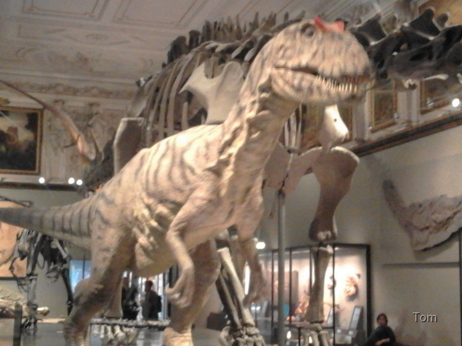 Naturhistorisches Museum