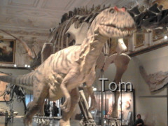 Naturhistorisches Museum