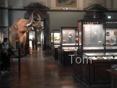 Naturhistorisches Museum