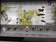 Naturhistorisches Museum