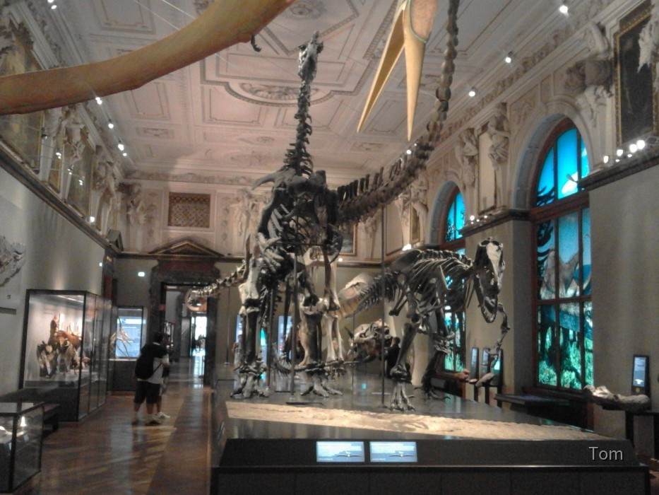 Naturhistorisches Museum