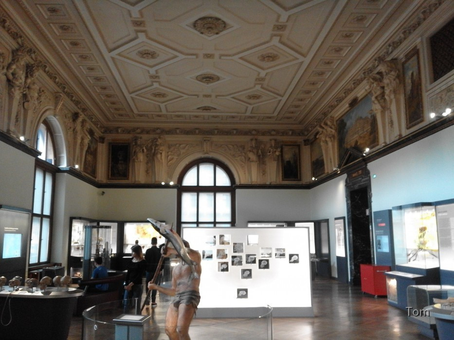 Naturhistorisches Museum