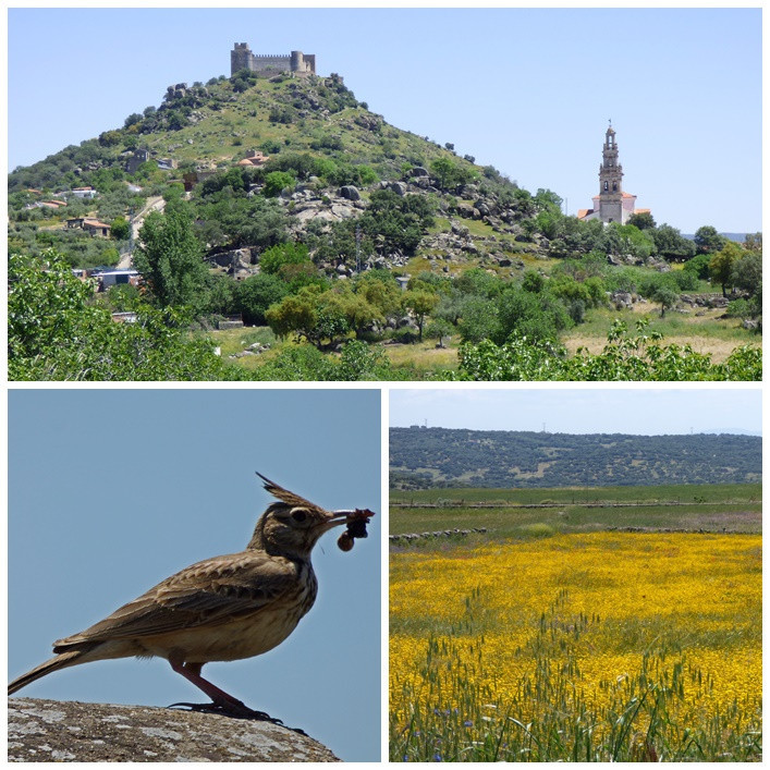 Extremadura Mai 2018 - Jerez de los Caballeros, Zafra und Llerena