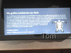 Naturhistorisches Museum