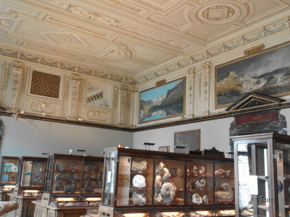 Naturhistorisches Museum
