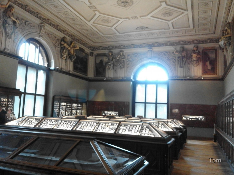 Naturhistorisches Museum