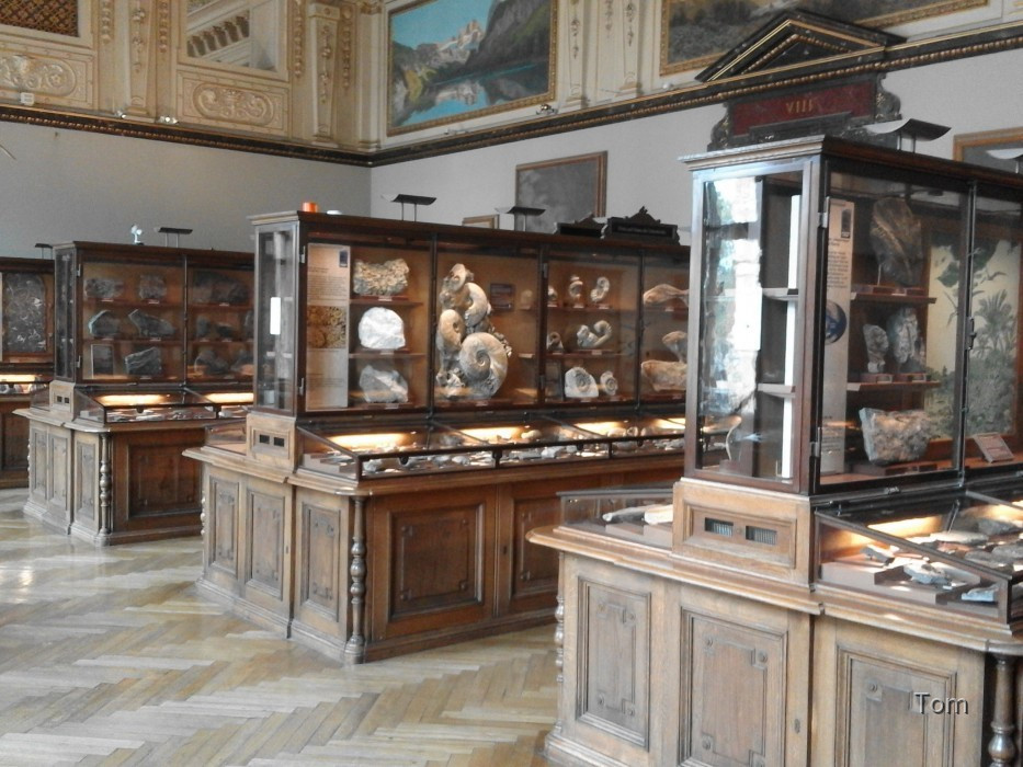 Naturhistorisches Museum