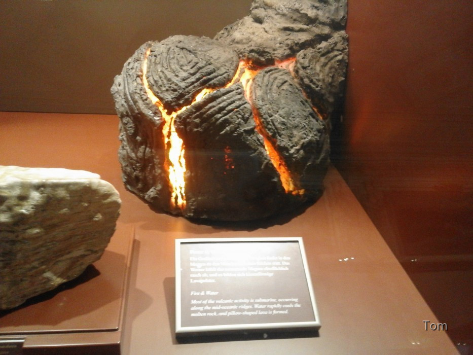 Naturhistorisches Museum