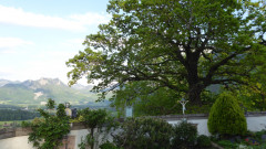 Sankt Margarethen