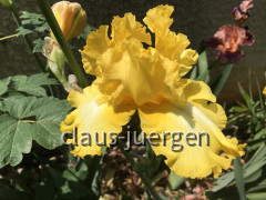 D4F4B8BF-4025-4D6C-A6AC-ACABB844CDF4