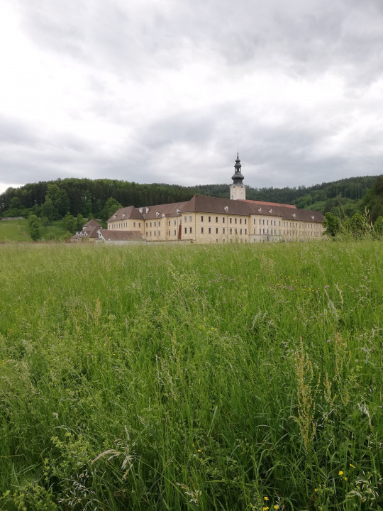 Rein, Stift Rein < Nepomuk