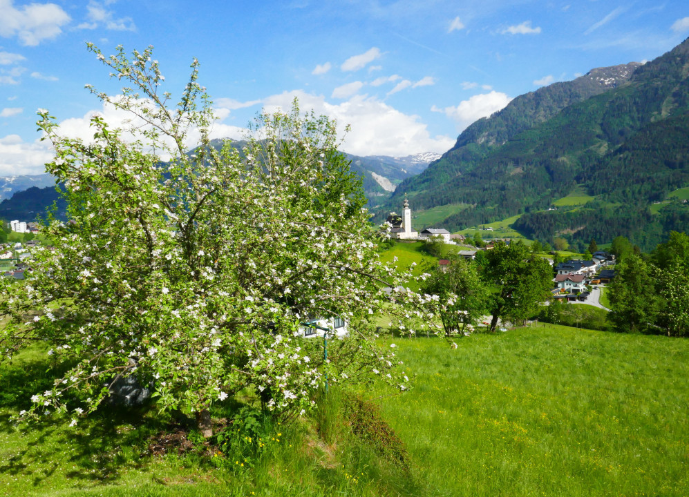 Irdning und St. Veit