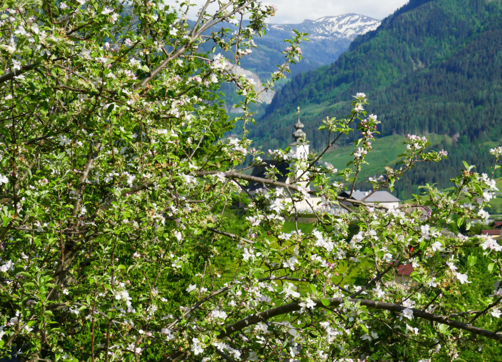 Irdning und St. Veit