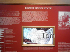 Naturhistorisches Museum