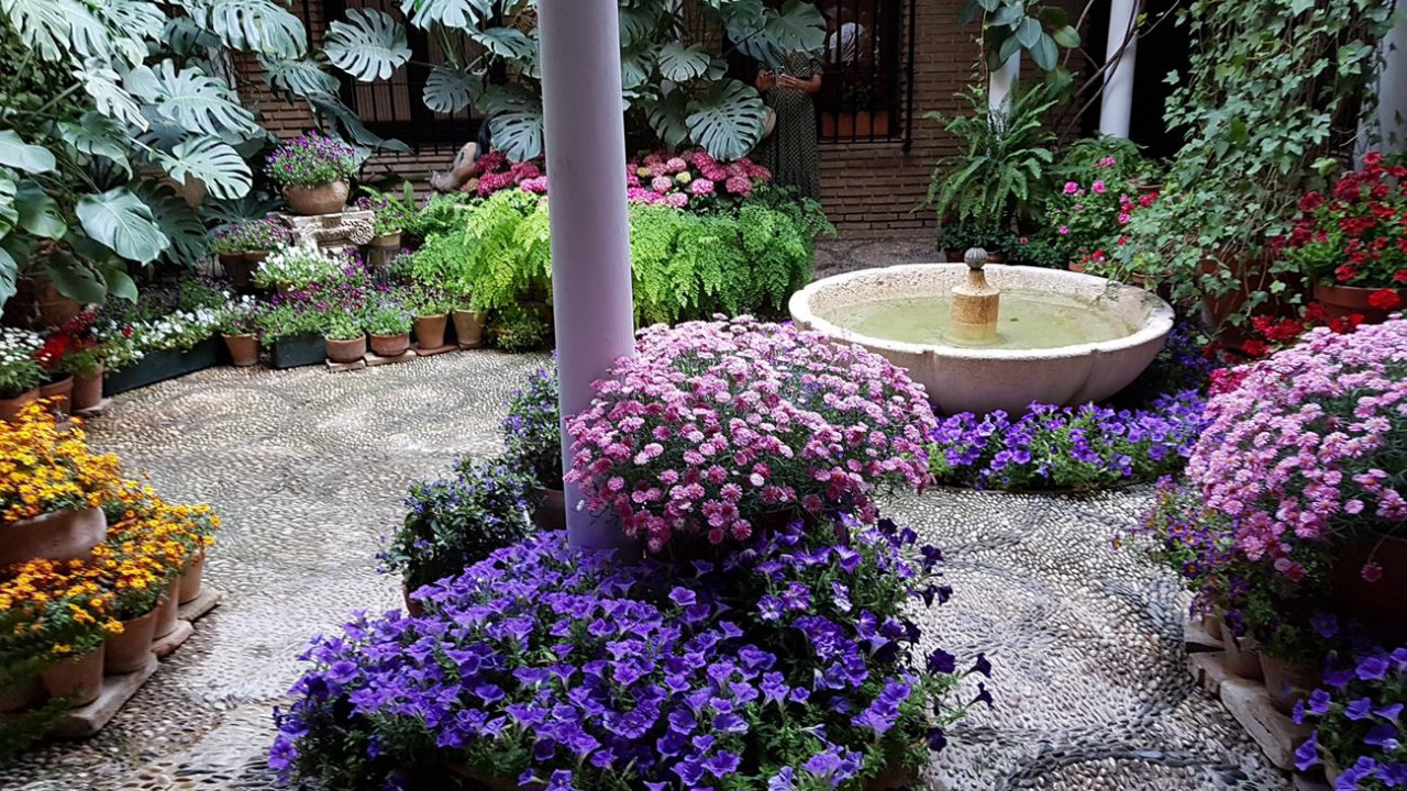 Patio1b