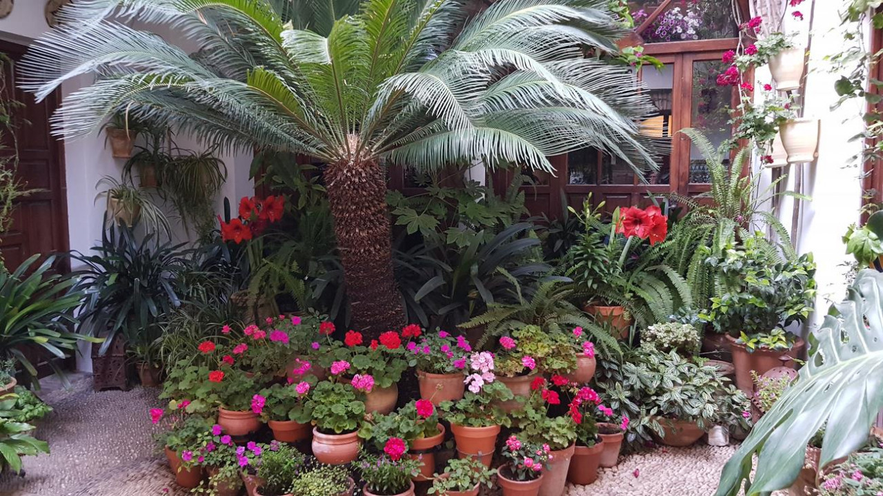 Patio2b