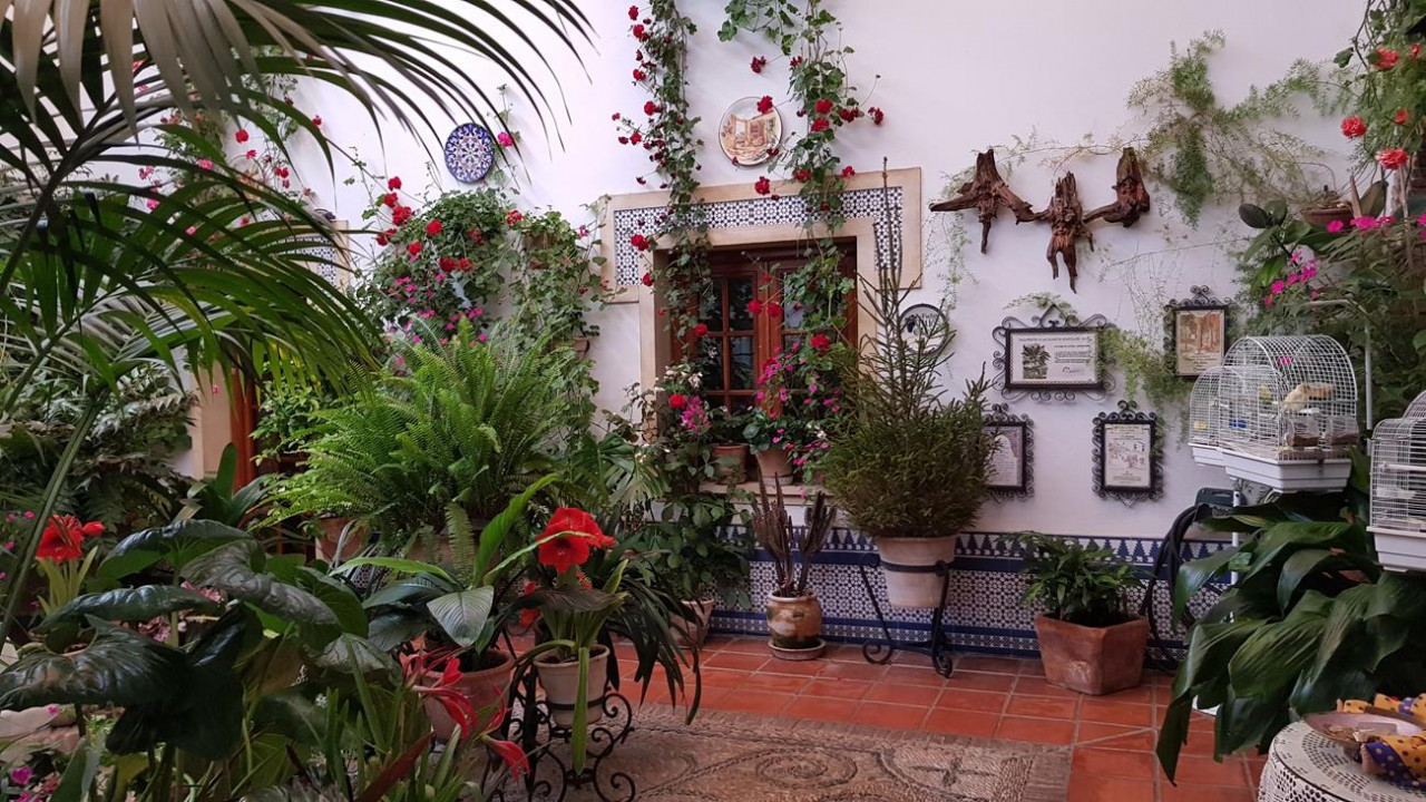 Patio3b