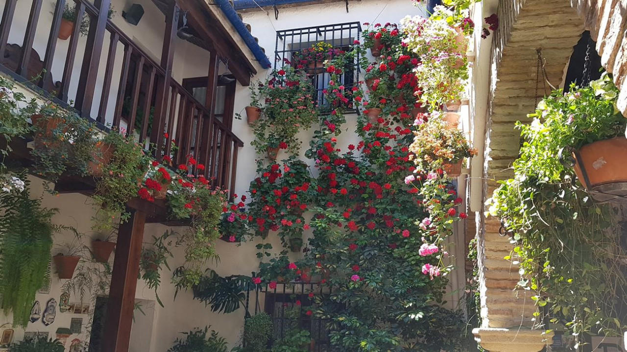 Patio6b