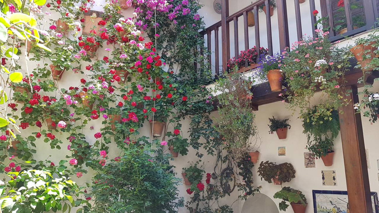Patio6c