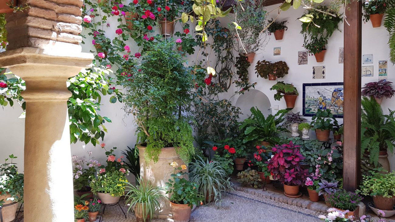 Patio6d