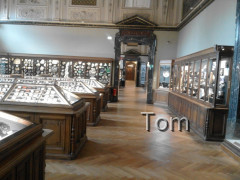 Naturhistorisches Museum