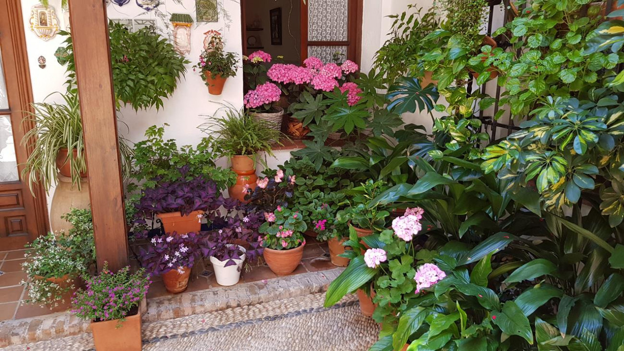 Patio6f