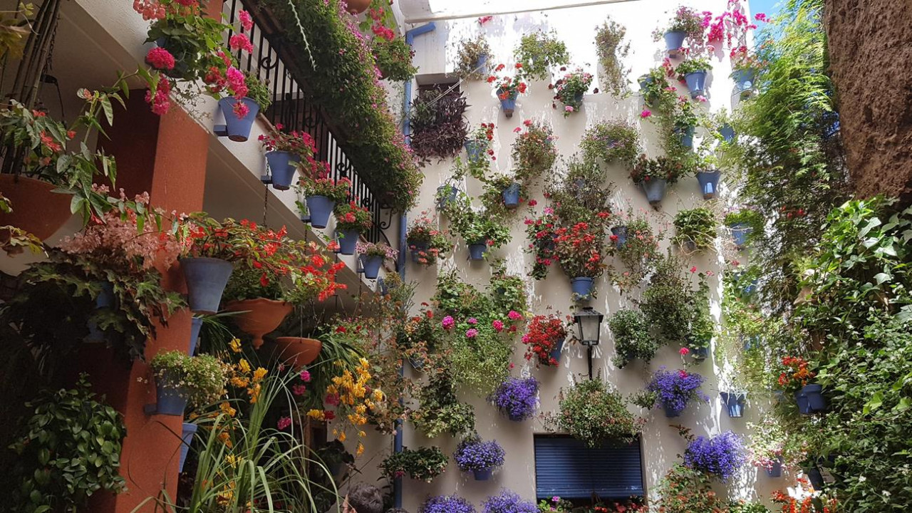 Patio7a
