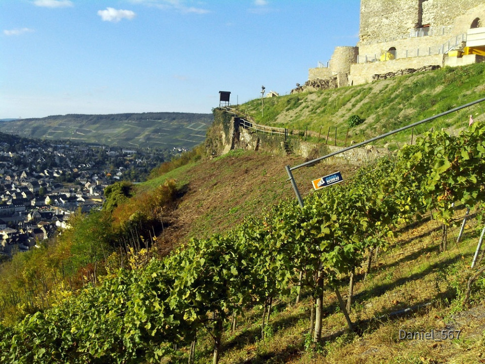 39_Burg Landshut 2015