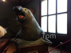 Naturhistorisches Museum