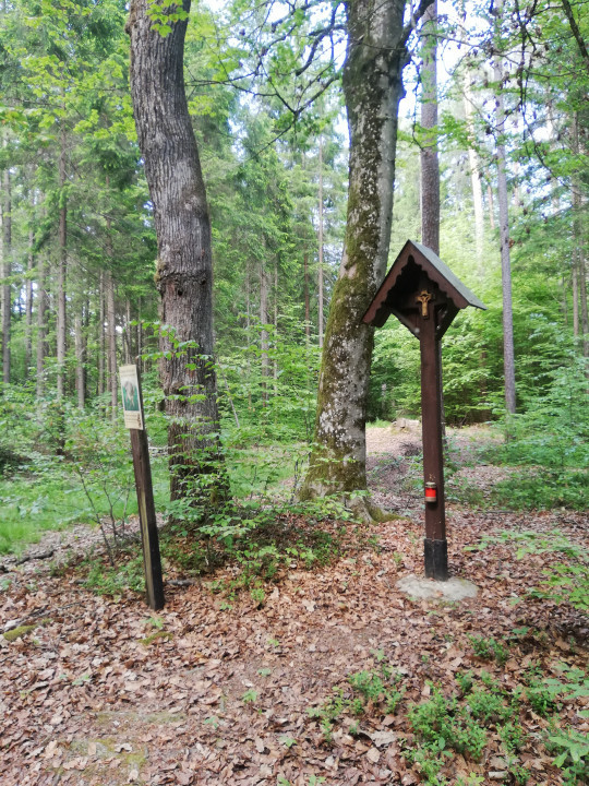 Attendorfberg > Nepomuk