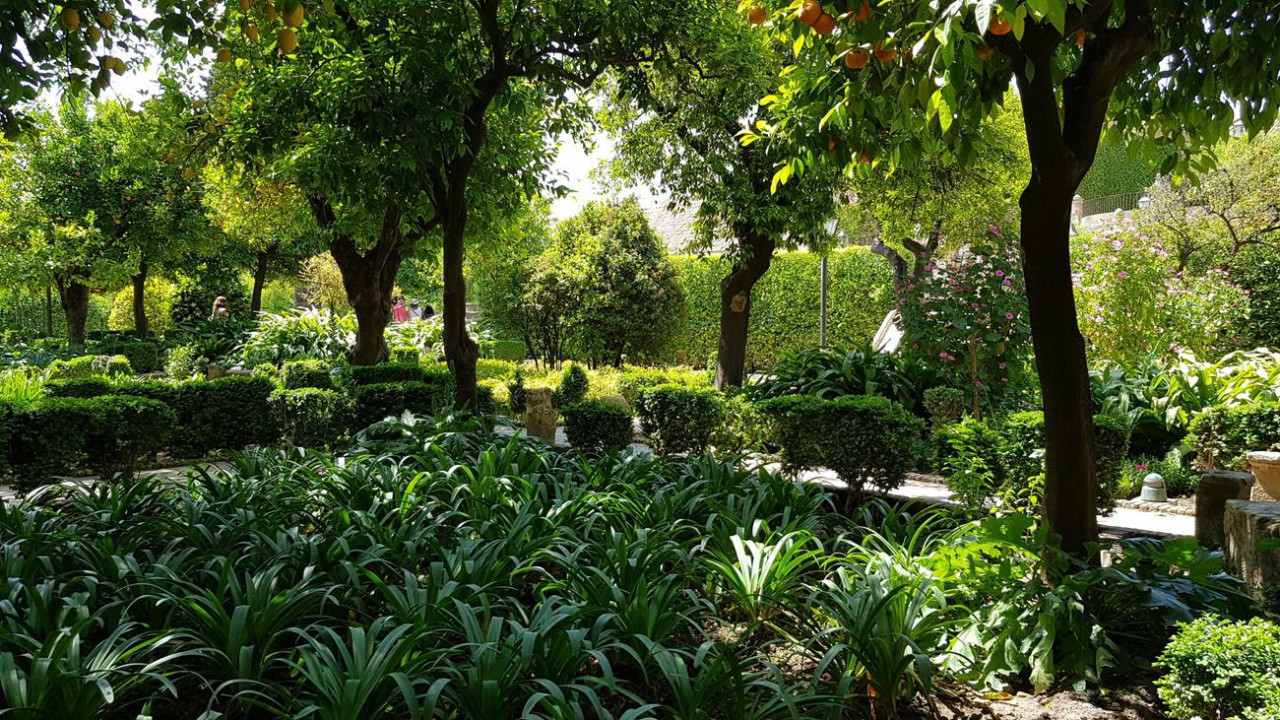 Alcázar 10