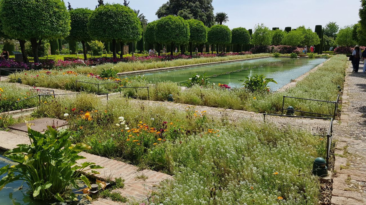 Alcázar 21