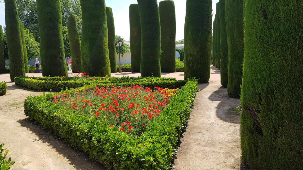 Alcázar 23