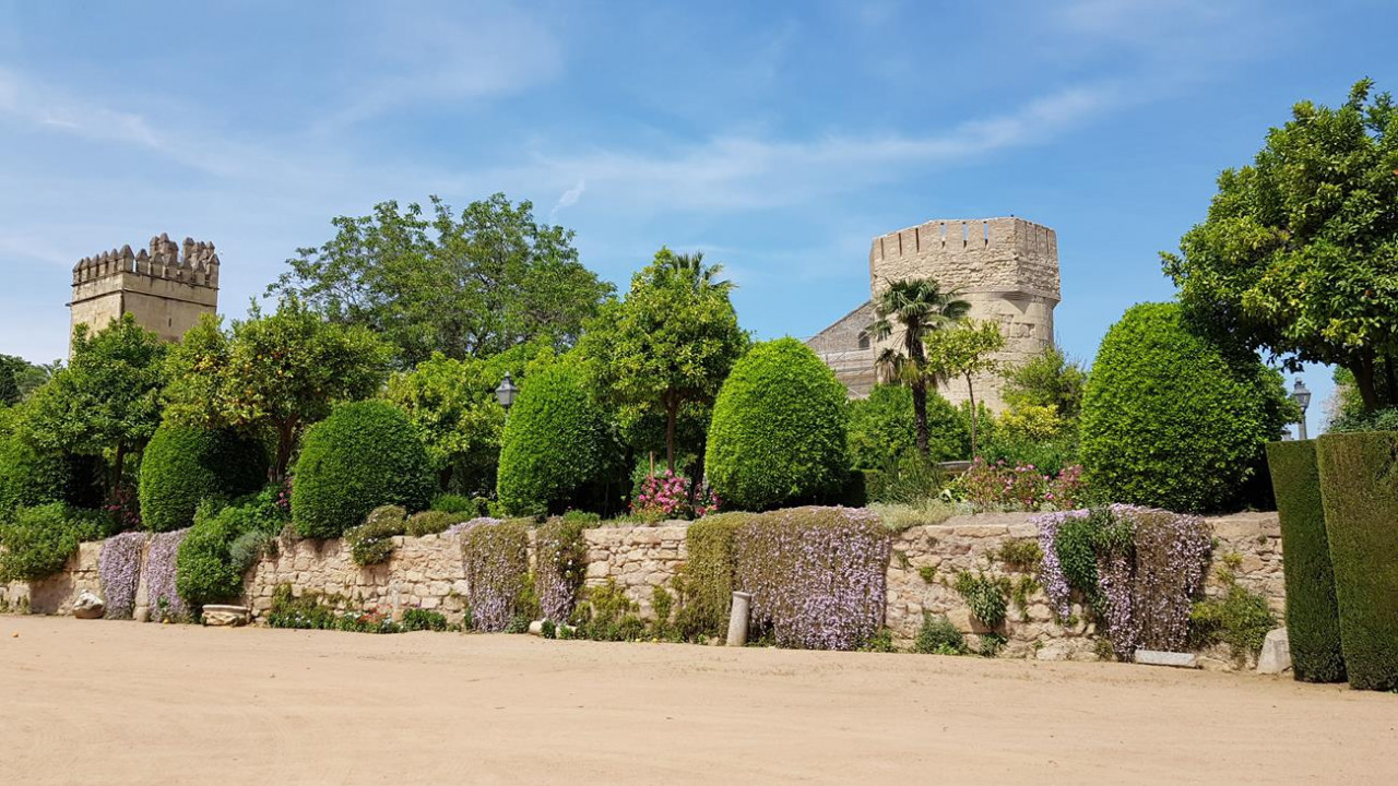 Alcázar 39