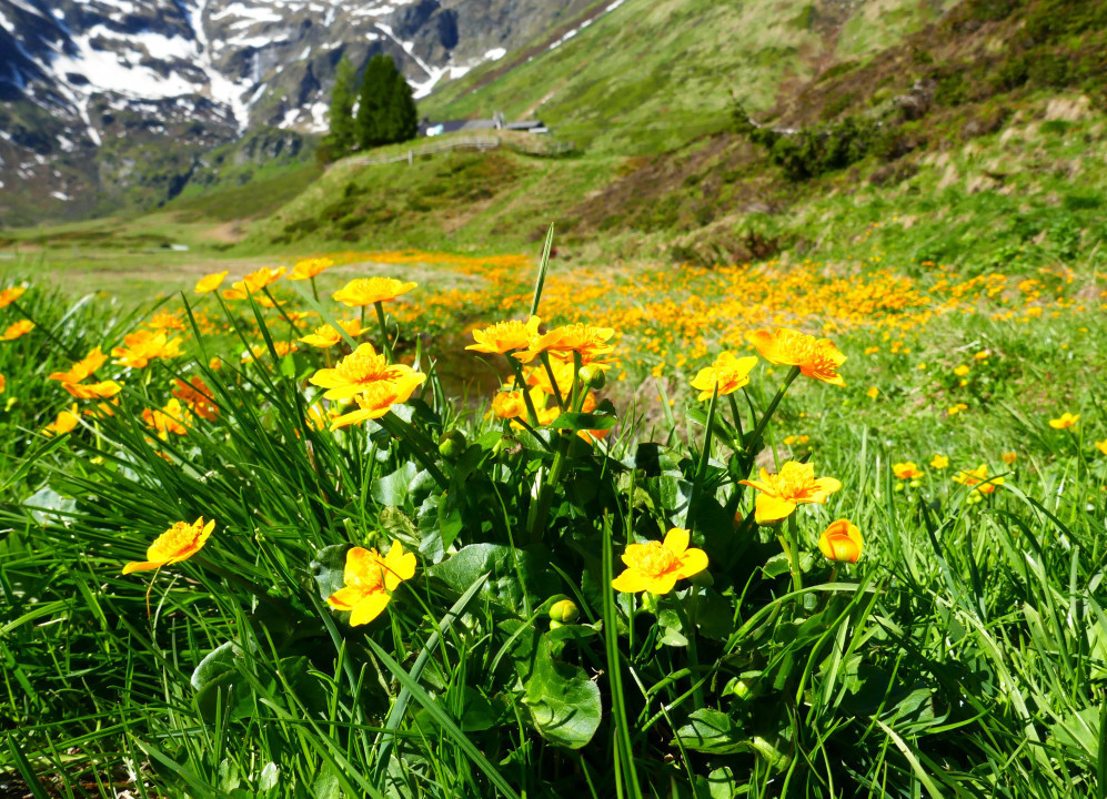 Sportgastein 2022