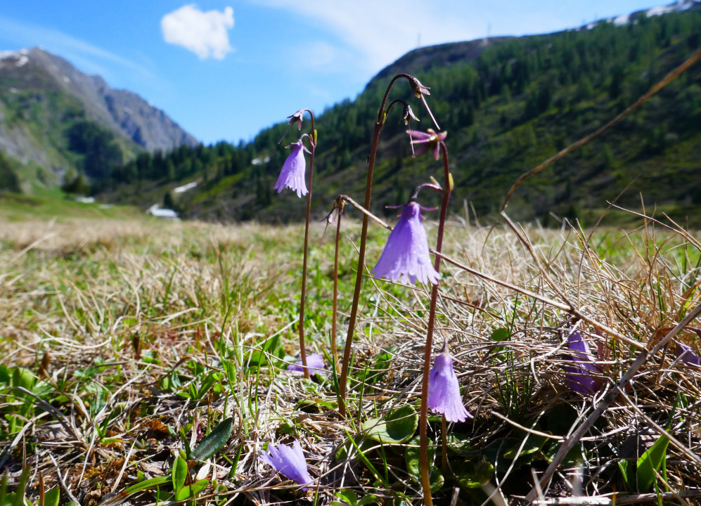 Sportgastein 2022