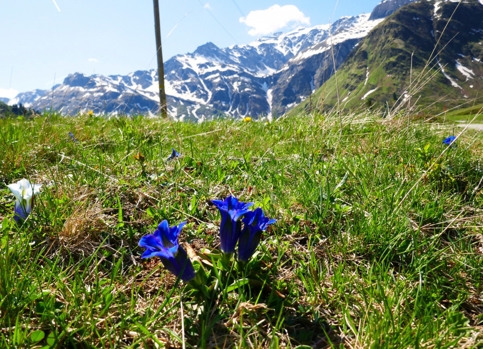 Sportgastein 2022