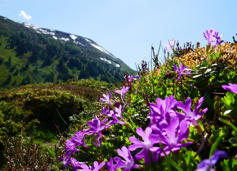Sportgastein 2022
