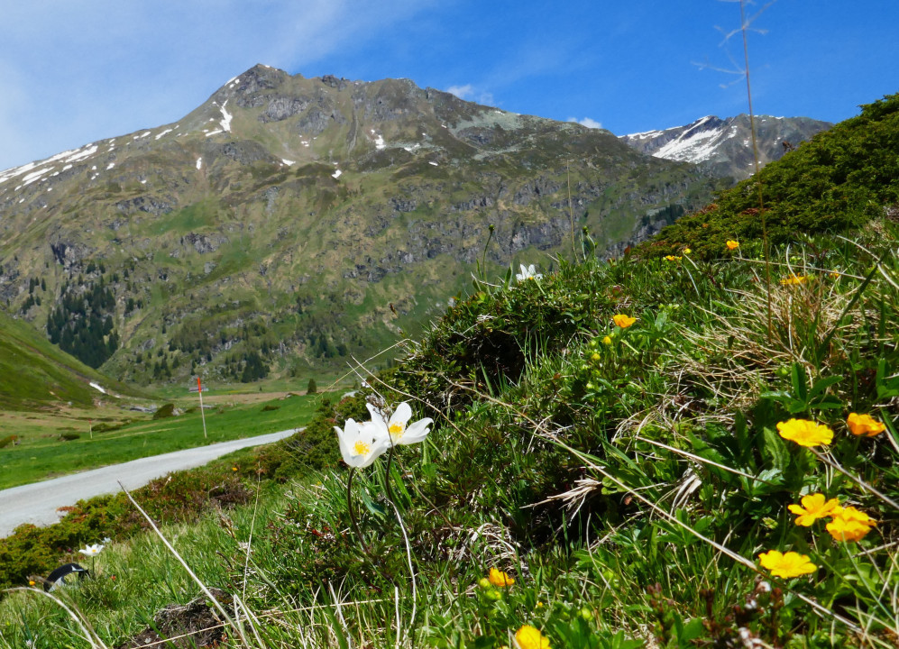 Sportgastein 2022