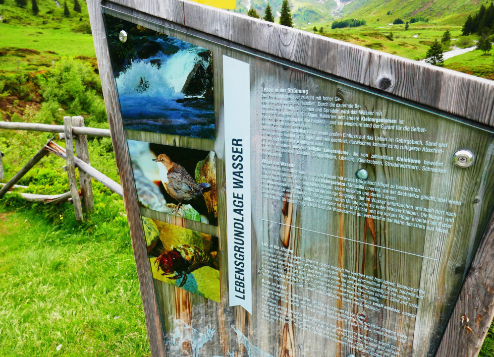 Sportgastein 2022