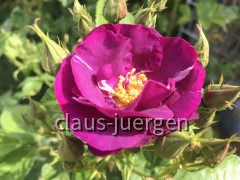 8FE73494-F7E2-4446-A66E-E4ECD6B47AA2