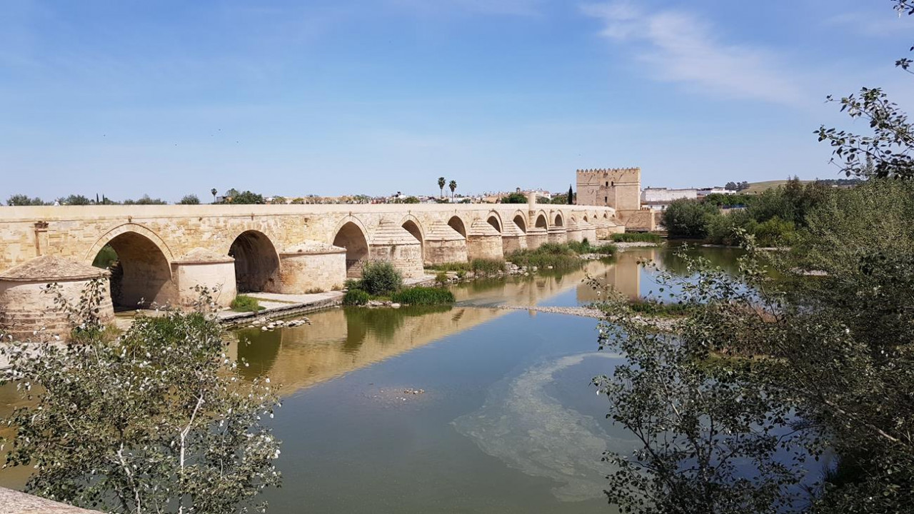 Cordoba Flair 03