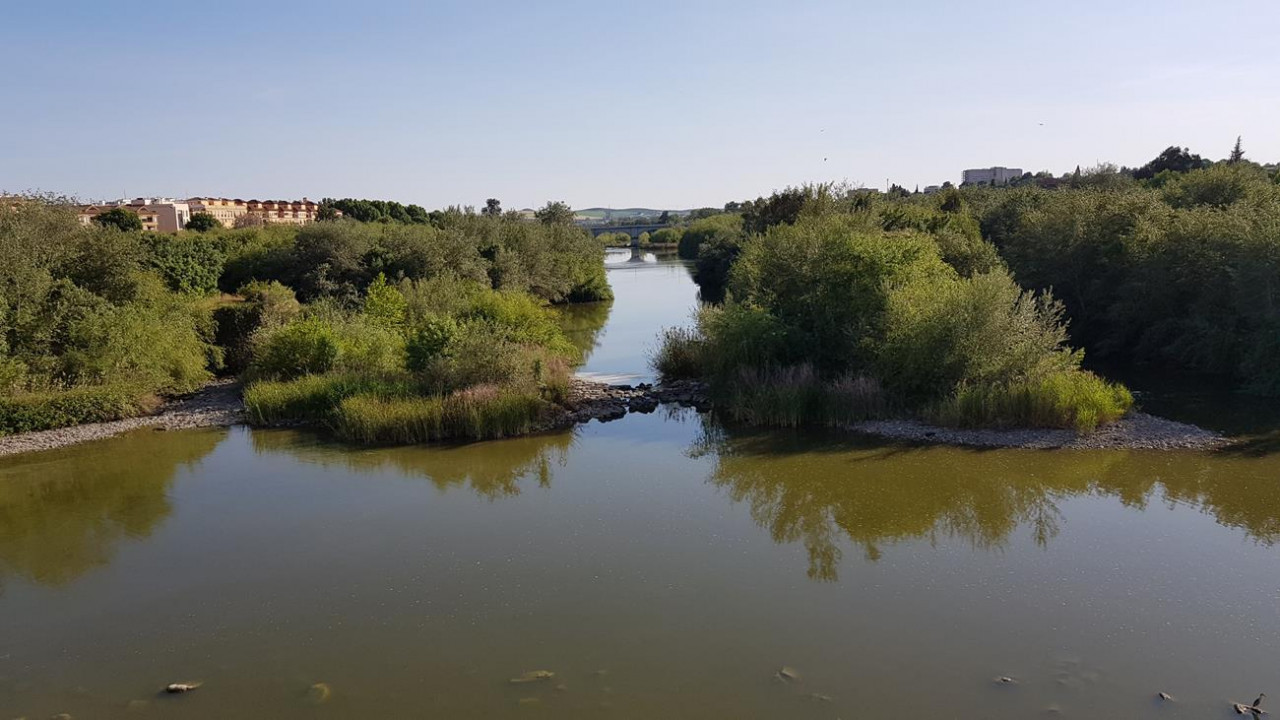 Cordoba Flair 05