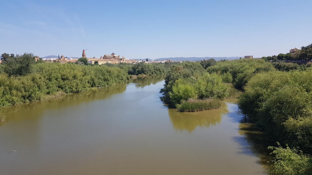 Cordoba Flair 06