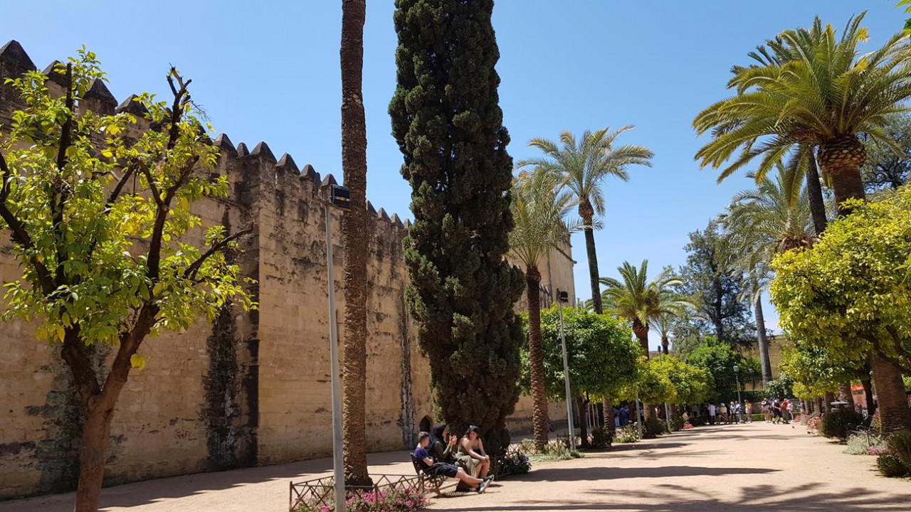 Cordoba Flair 17