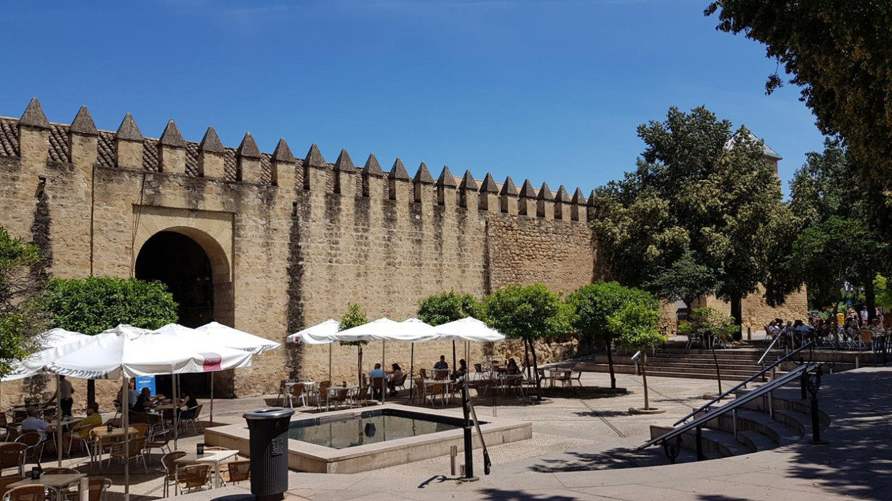 Cordoba Flair 19